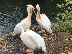 4896D330-A203-446E-9FD5-9E993A9948A0