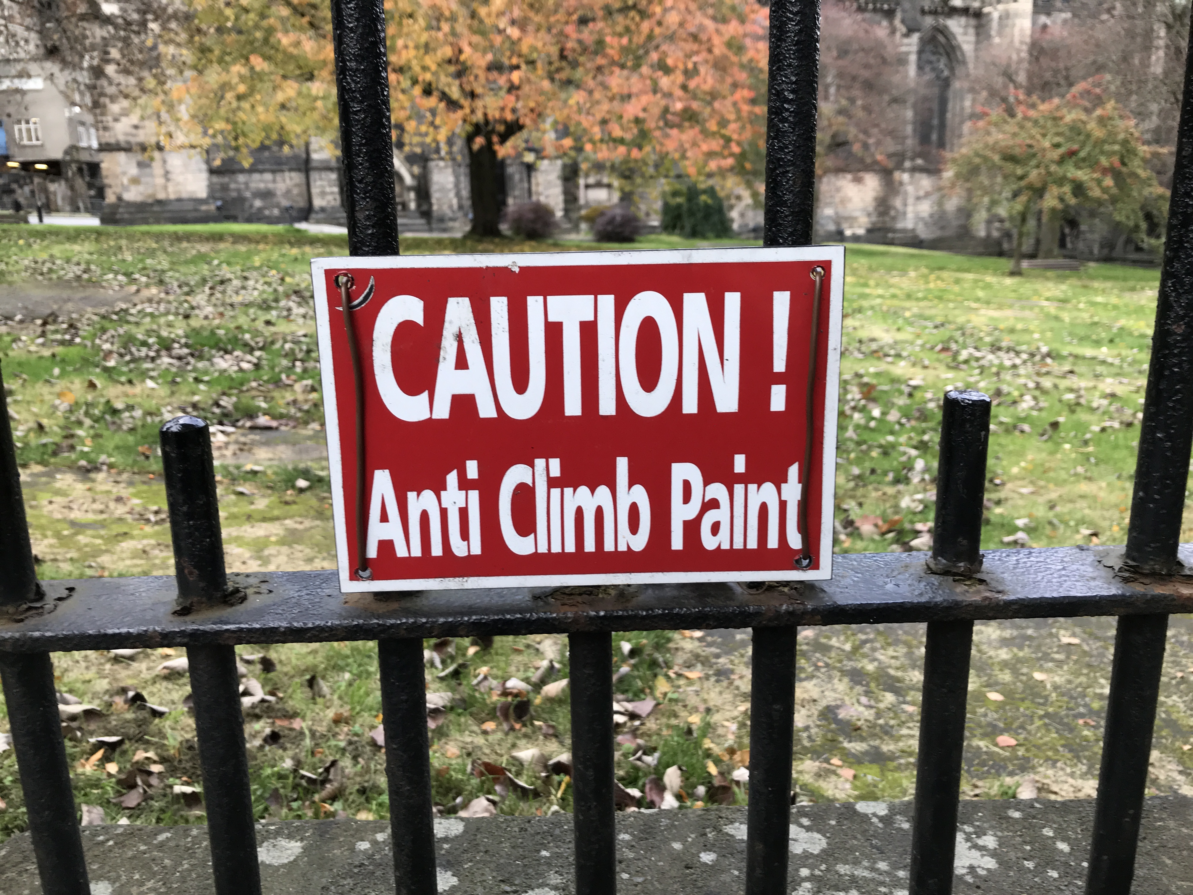 615947A8-AFFD-4D27-8117-A7BA395FAA6F