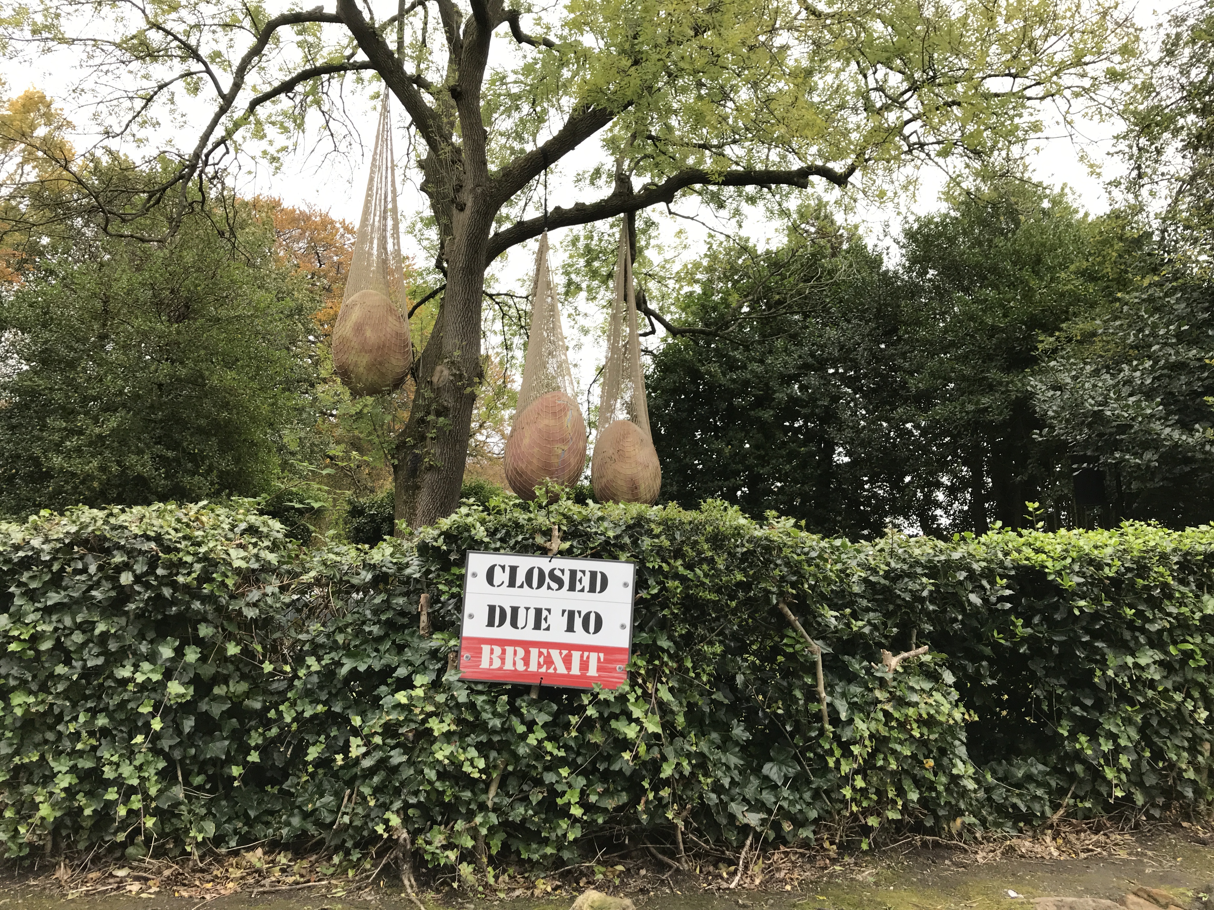 F0F8DADB-A85B-4B74-9737-2C4B30296BB2